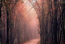 操作系统管理用户数据的单位是______。的简单介绍