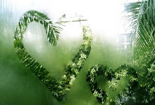 大专图形图像处理课程,大学图形图像处理这门课要学啥