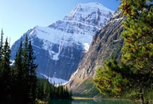 统信操作系统如何查询电脑的ip地址,统信操作系统如何查看版本信息