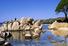 大专图形图像处理课程,大学图形图像处理这门课要学啥